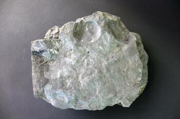 Rochester shale
