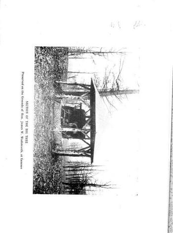 Section of Big Tree